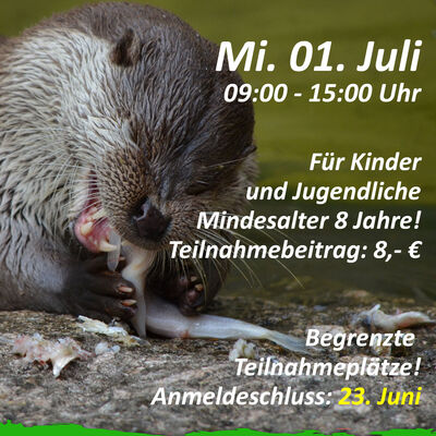 Ausflug Edersee Sommer 2026